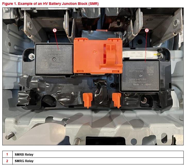 G16167629