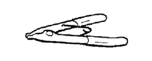 GTY124911